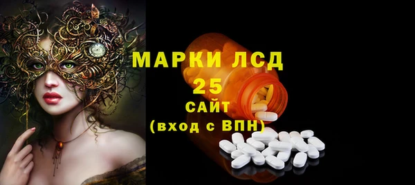 гашик Арсеньев