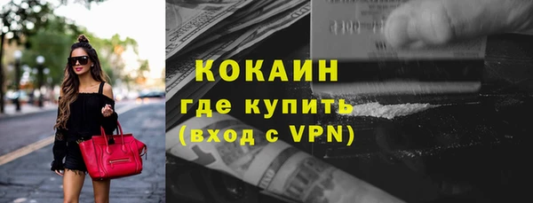 прущие грибы Армянск