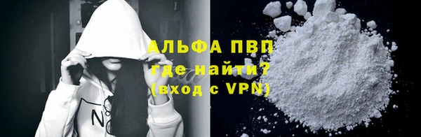 прущие грибы Армянск