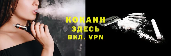 гашик Арсеньев