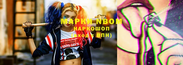 прущие грибы Армянск